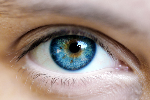 Blue eyes are increasingly rare in America