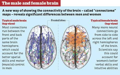 brain graphic