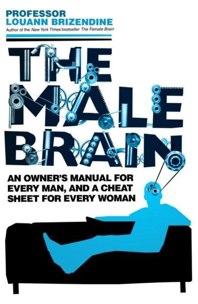 male brain