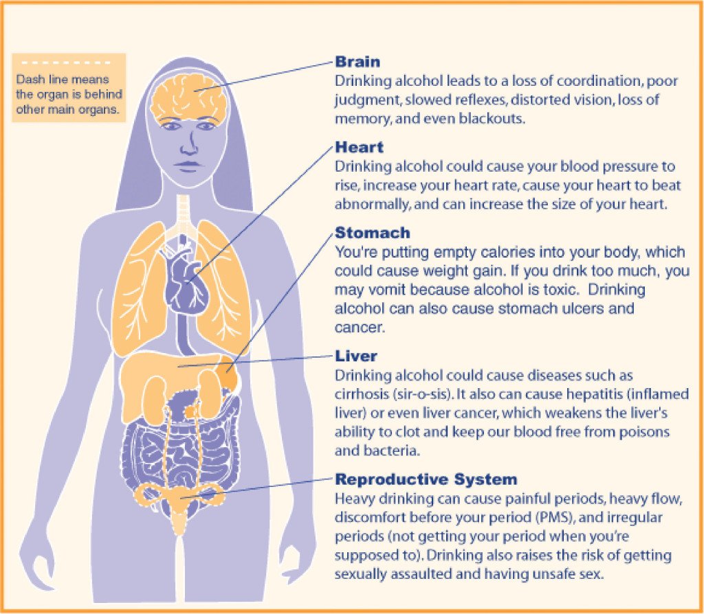 The effects of alcohol on the body