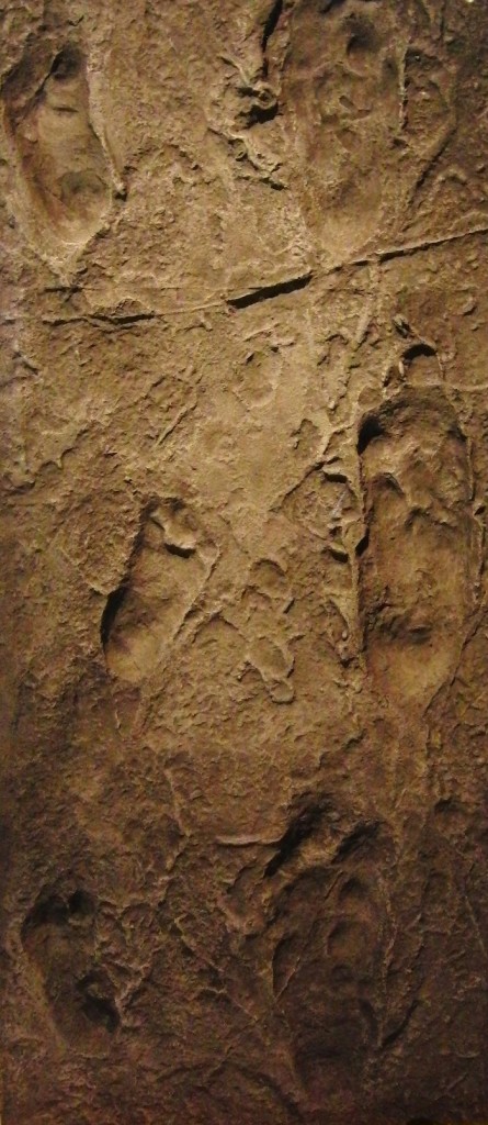 The oldest human Footprints are 3.7 million years old from Tanzania, Africa