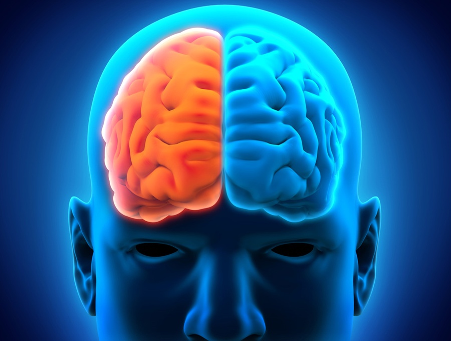 Neuro-science: How the brain views race