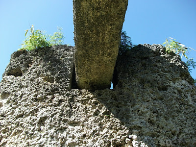 Megalithic Stones In Tonga 01