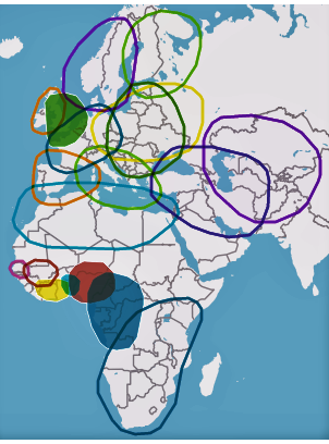 Ancestry DNA Results