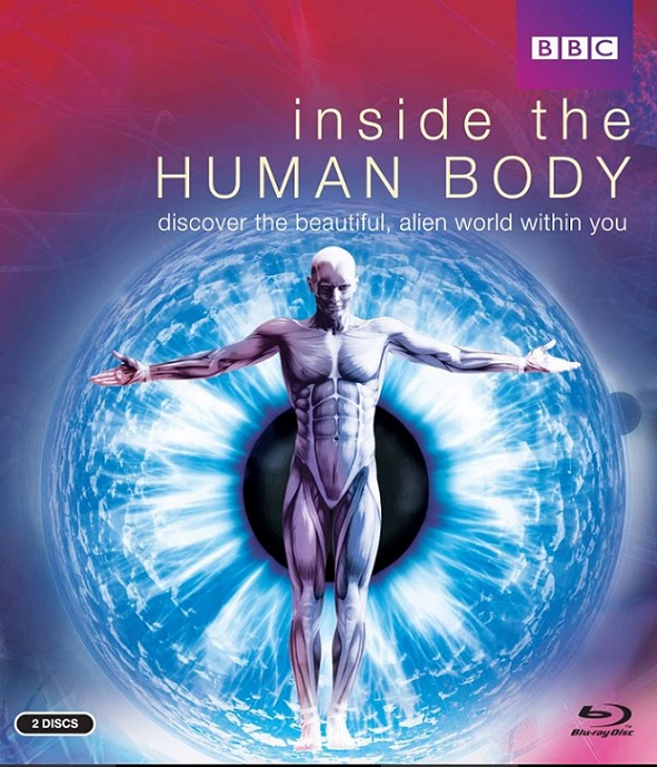 Inside The Human Body