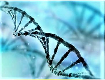 Science: DNA Of Your Ancestors