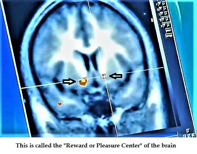 Science Explains The Effects Money Has On Your Brain & Emotions