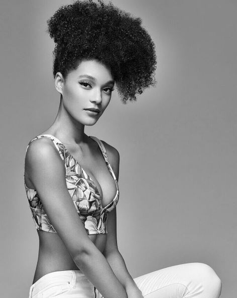 Model: Kia Archer