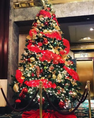 Beautiful Christmas tree.
#amazing #socialsteeze #fitness #followme #all_shots #textgram #family #instago #igaddict #awesome #girls #instagood #my #bored #baby #music #red #green #water #bestoftheday #black #party #white #yum #flower #carryme #night #instalove