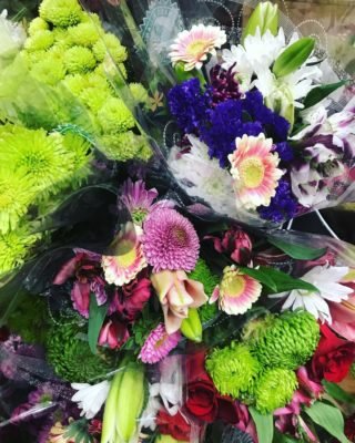 Colorful flowers for winter.
#amazing #socialsteeze #fitness #followme #all_shots #textgram #family #instago #igaddict #awesome #girls #instagood #my #bored #baby #music #red #green #water #bestoftheday #black #party #white #yum #flower #carryme #night #instalove