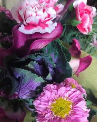 Beautiful flowers for the holidays. 
#amazing #socialsteeze #fitness #followme #all_shots #textgram #family #instago #igaddict #awesome #girls #instagood #my #bored #baby #music #red #green #water #bestoftheday #black #party #white #yum #flower #carryme #night #instalove