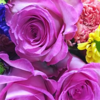 Beautiful roses in bloom.
#amazing #socialsteeze #fitness #followme #all_shots #textgram #family #instago #igaddict #awesome #girls #instagood #my #bored #baby #music #red #green #water #bestoftheday #black #party #white #yum #flower #carryme #night #instalove