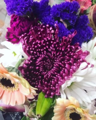 Flowers bloom. Beautiful color.
#amazing #socialsteeze #fitness #followme #all_shots #textgram #family #instago #igaddict #awesome #girls #instagood #my #bored #baby #music #red #green #water #bestoftheday #black #party #white #yum #flower #carryme #night #instalove